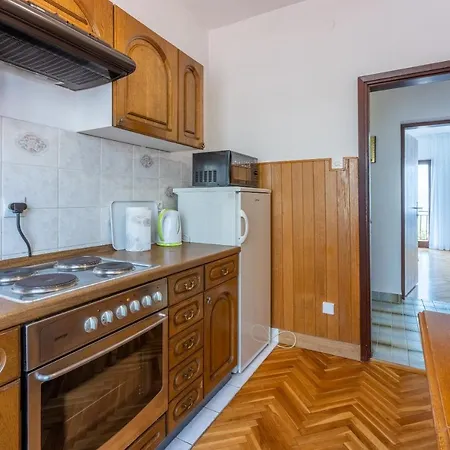 Arya 茨里克韦尼察